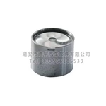 421 0017 10 13751-74020